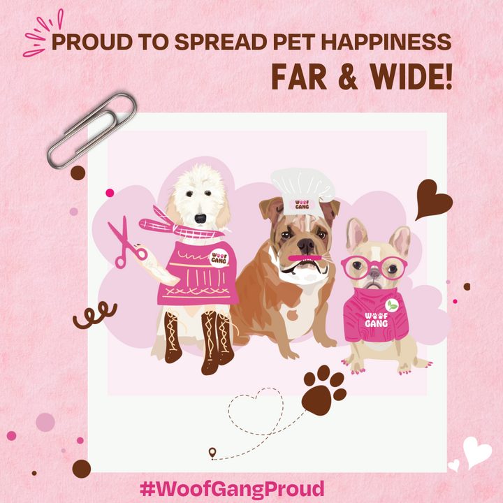 Woof Gang Bakery & Grooming Shines in Franchise Times 400 List - Spreading Pet Happiness Nationwide!