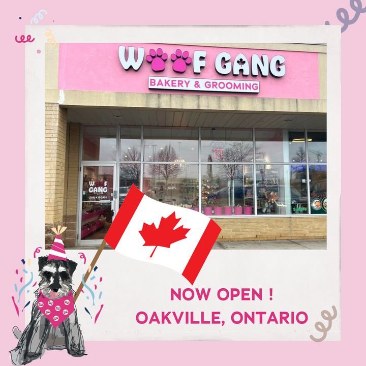 Woof Gang Bakery & Grooming Debuts in Ontario, Bringing a Splash of Pink to Canada