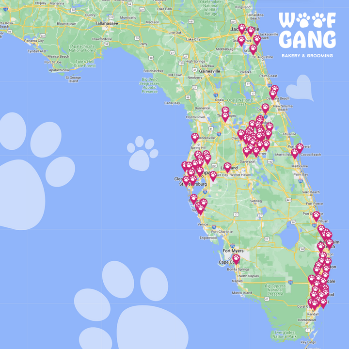 Woof Gang Bakery and Grooming Unleashes Spectacular Expansion in South Florida with Eight New Locations