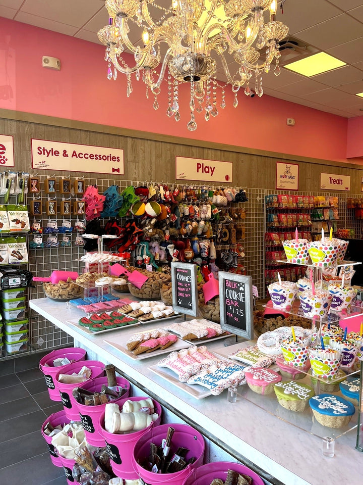Woof Gang Bakery & Grooming’s Newest Neighborhood Pet Store to Open in Westchase with Grand Opening event on June 25
