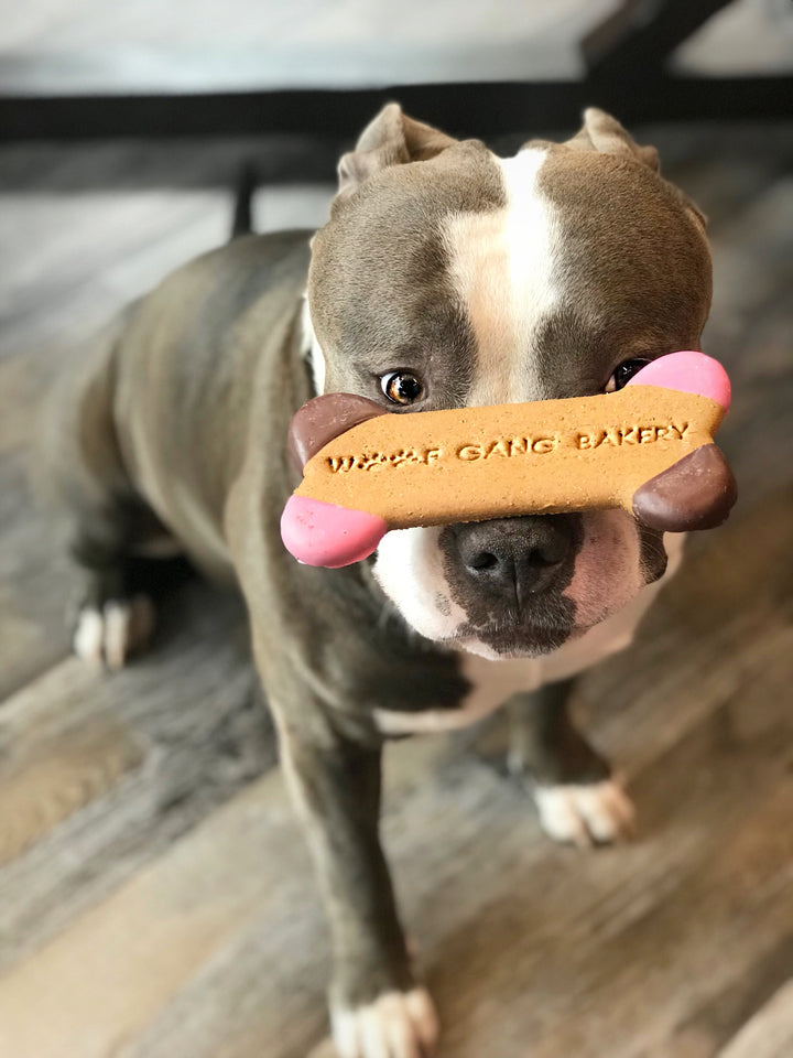 At Woof Gang Bakery, everyday is National Dog Biscuit Day! 🐶🦴