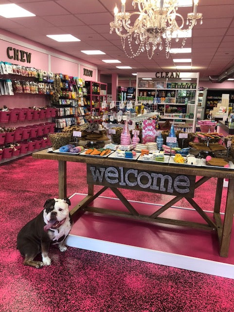 Woof Gang Bakery Grooming Opens First New York State Store Located