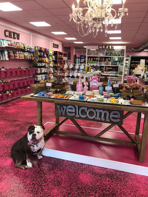 Woof Gang Bakery & Grooming Opens First New York State Store, Located in Westchester County