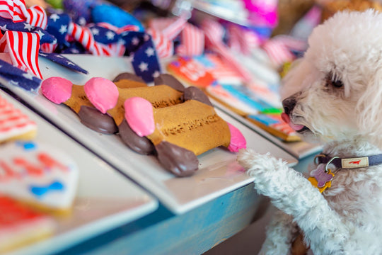 Dog sniffing treats at Woof Gang Bakery & Grooming