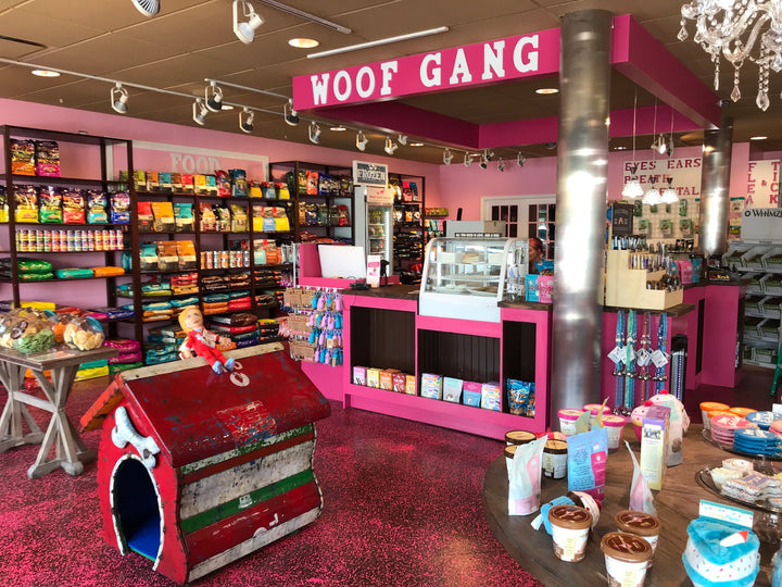 New Woof Gang Bakery & Grooming Opens in Jacksonville; Grand Opening Celebration at Avondale Neighborhood Store