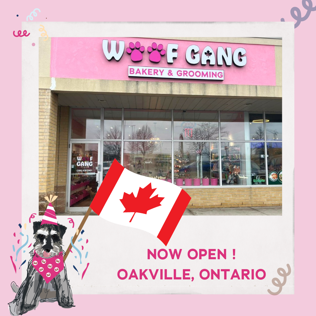 Woof Gang Bakery & Grooming Debuts in Ontario, Bringing a Splash of Pi