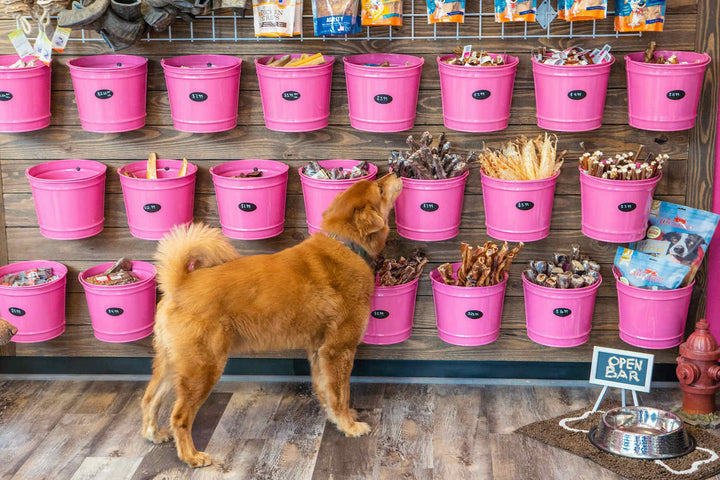 New Woof Gang Bakery & Grooming Neighborhood Pet Store Celebrates Grand Opening on Treasure Island Starting June 18