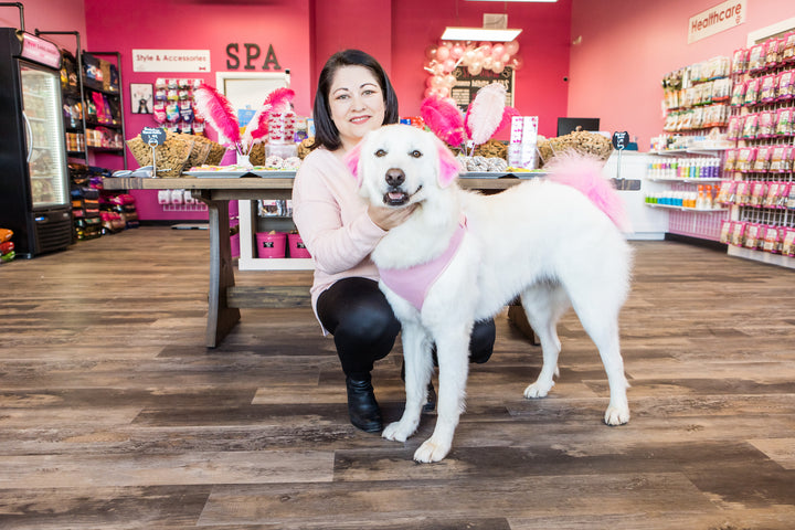 Dogs are flocking to Woof Gang Bakery & Grooming’s Grand Opening in New Braunfels this Weekend for Free Treats, Prizes and Lots of Woofin’ Fun
