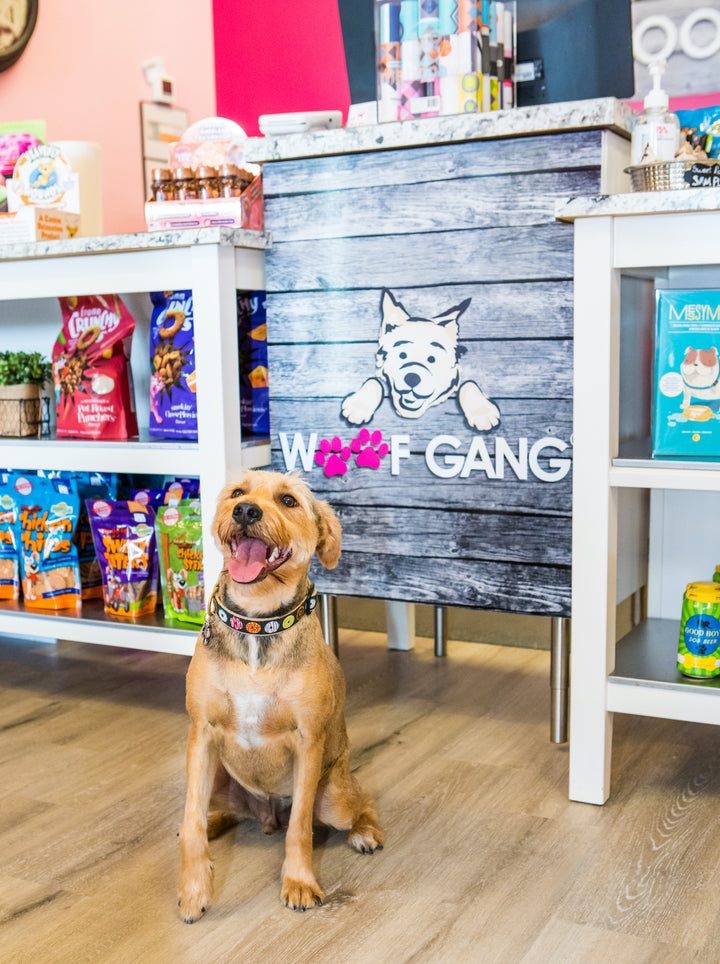 Woof Gang Bakery & Grooming Celebrates Milestone 30th Texas Store with McKinney Grand Opening Event
