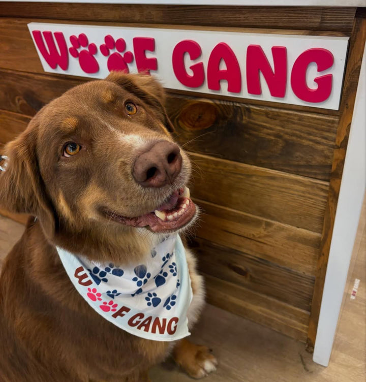 A Paw-some Experience Awaits at Woof Gang Bakery & Grooming in Bannerman Village!