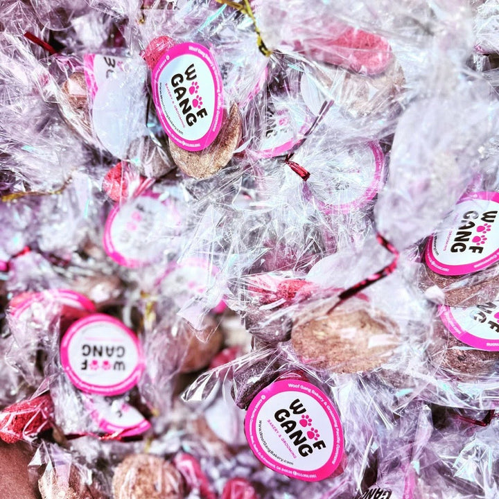 From Grooming to Gourmet Treats: Explore Woof Gang Bakery & Grooming at Pacific Commons!