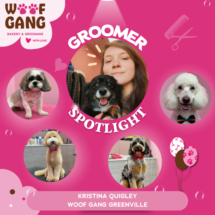 🌟 Celebrating Passion and Pups: Meet Kristina Quigley, Our Woof Gang Groomer Extraordinaire! 🌟