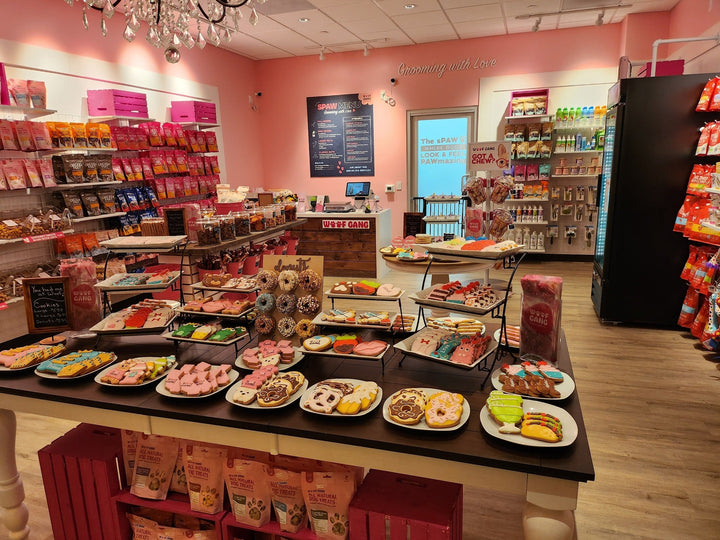 Welcome to Woof Gang Bakery & Grooming in Camino Village!