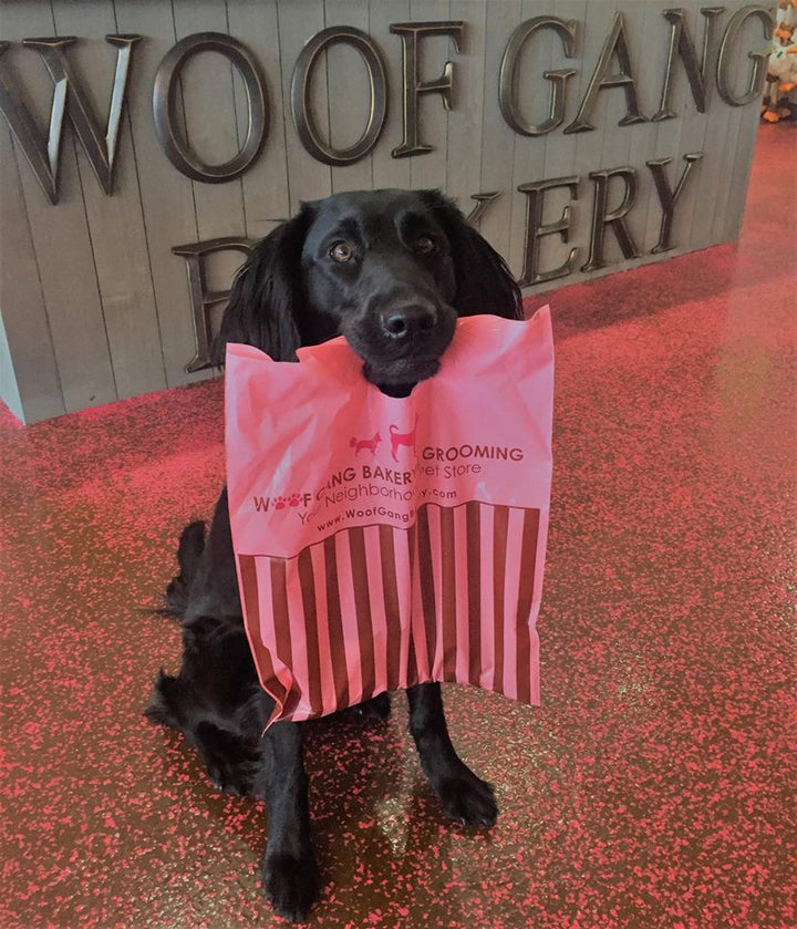 Woof Gang Bakery & Grooming Continues Expansion with 30th Florida Store